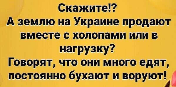 О политике и не только