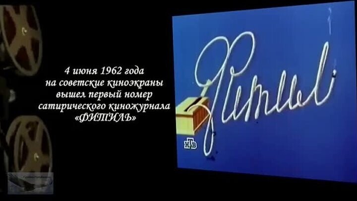 О политике и не только