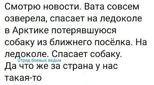 О политике и не только