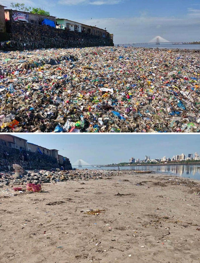 43. Фото пляжа в Мумбаи до и после уборки, организованной юристом Афрозом Шахом