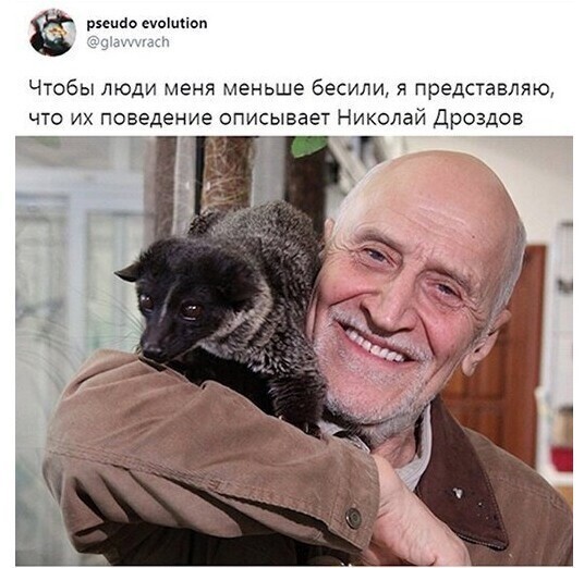 Ежедневный новостной дайджест с сатирой и другое