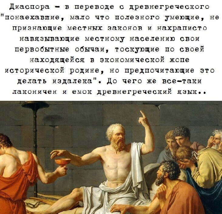 О политике и не только