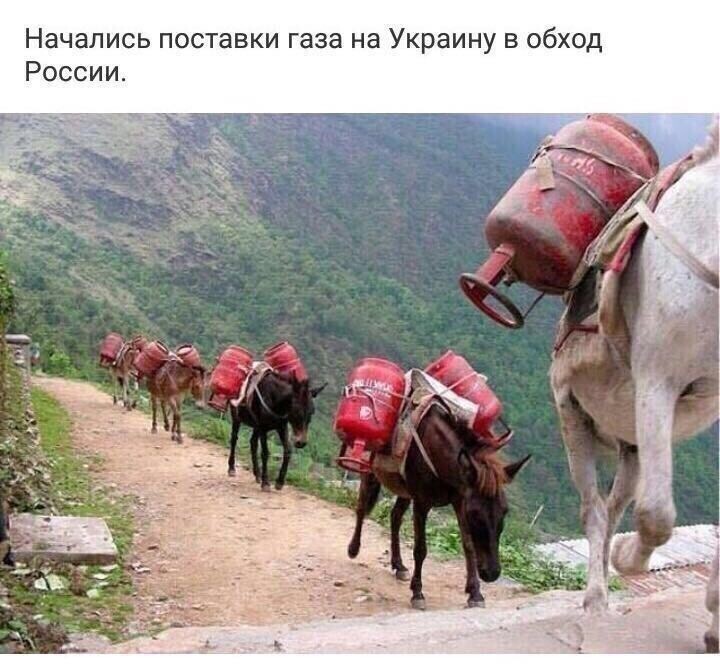 О политике и не только