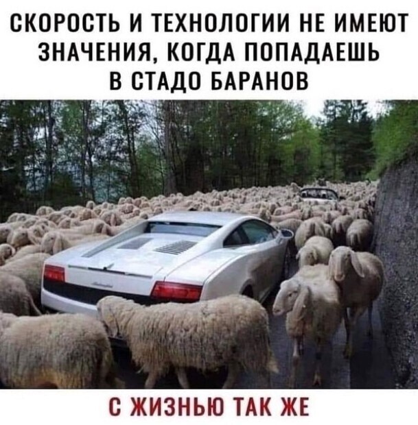 Всякая всячина на позитиве