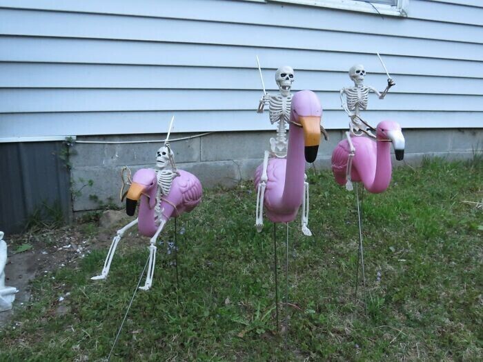 18. "Купил фламинго на дворовой распродаже, а скелетов в прошлом году где-то по случаю. И вот что произошло"