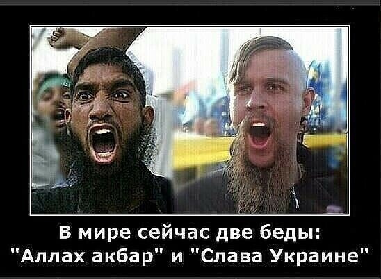 О политике и не только