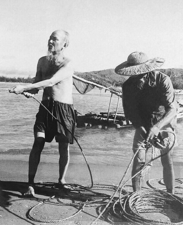 Хо Ши Мин, первый президент Вьетнама, тянет рыболовную сеть во время посещения рыбаков в Тханьхоа