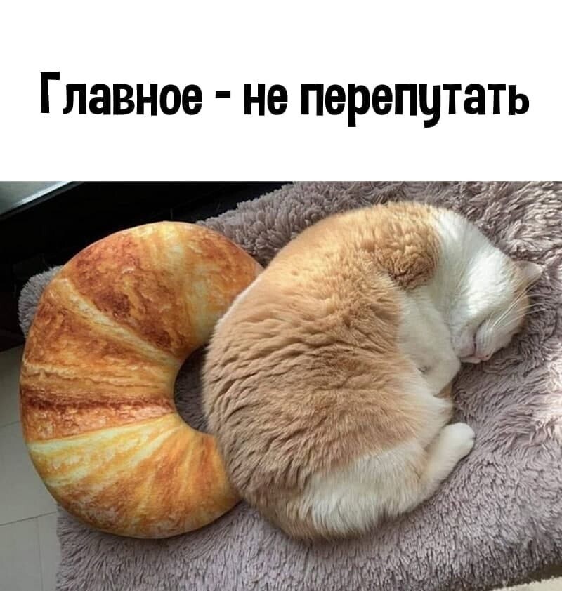 Очередной блок - О политике с сатирой и сарказмом