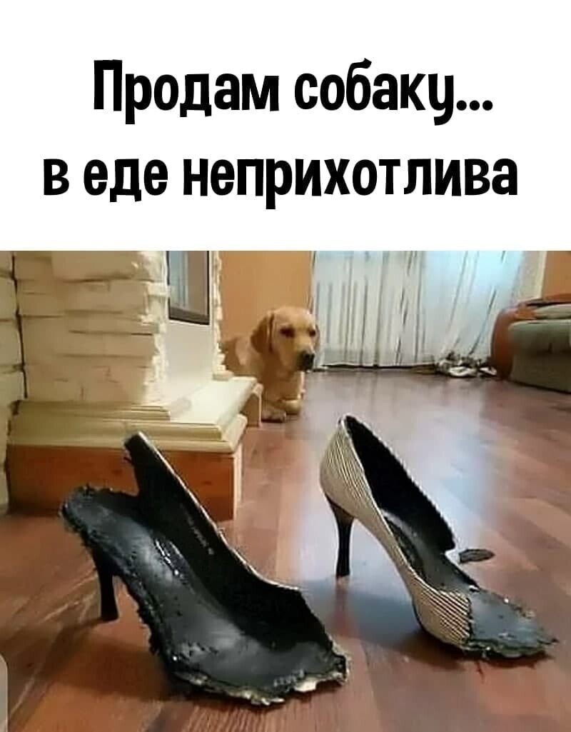 Очередной блок - О политике с сатирой и сарказмом