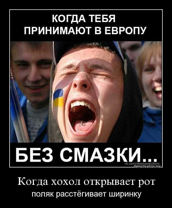 О политике и не только