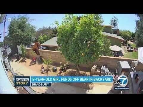 Защищая своих собак, девушка скинула медведицу с забора 