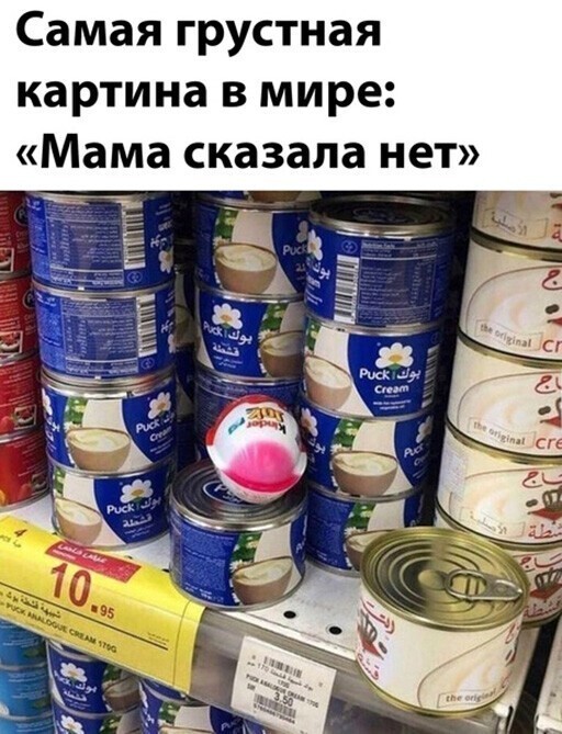 Смешные и познавательные картинки