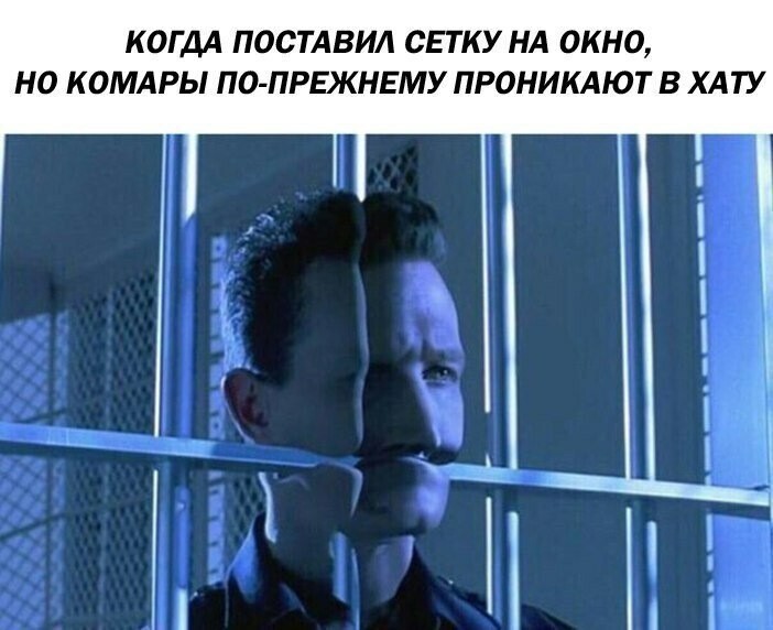 Не мог пройти мимо такого! Патриарх Кирилл рассказал, как люди смогут проходить сквозь стены