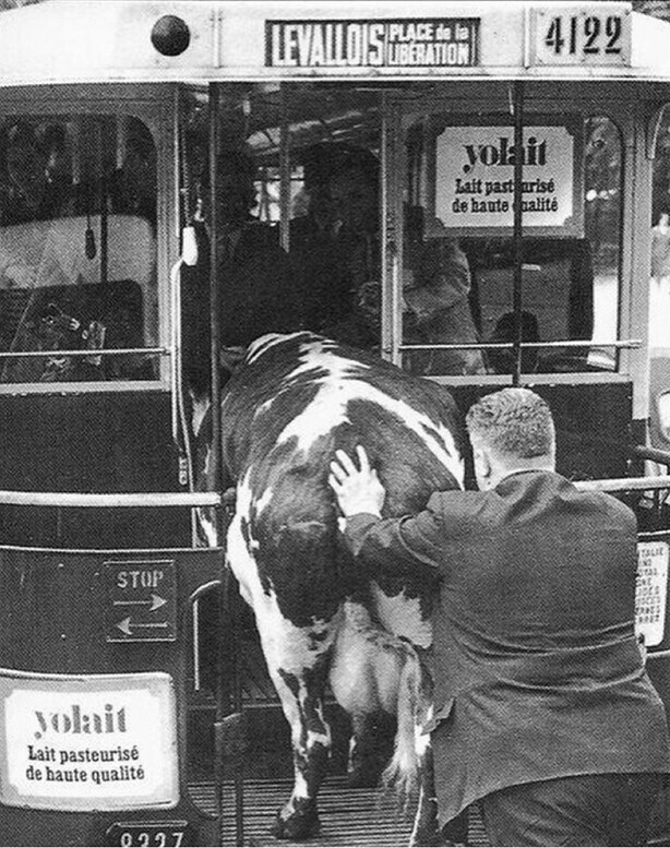 Автобус в Леваллуа ( Запарижье) Франция , 50-е годы прошлого века