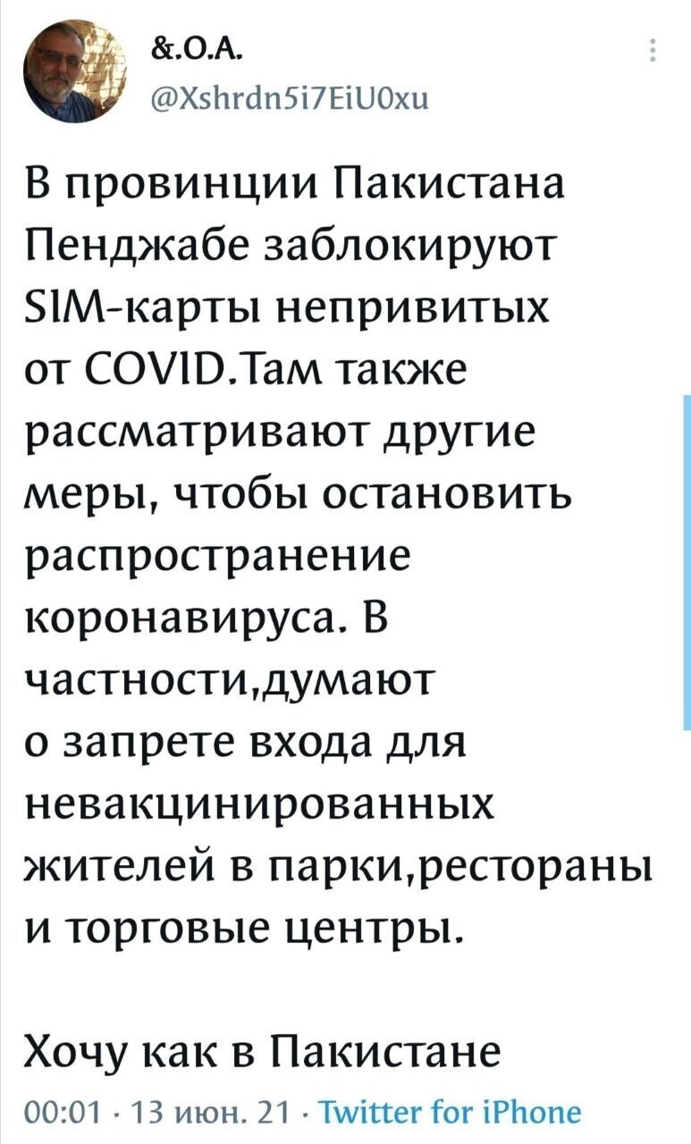 Калейдоскоп политической новостной сатиры и позитива