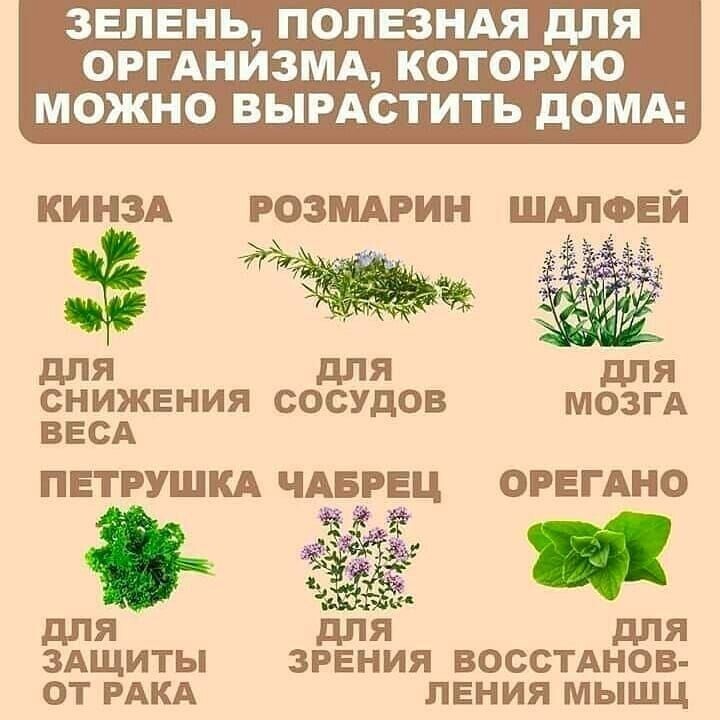 Калейдоскоп политической новостной сатиры и позитива