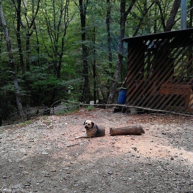 Фотографии, которые сведут вас с ума, пока вы в них не разберетесь