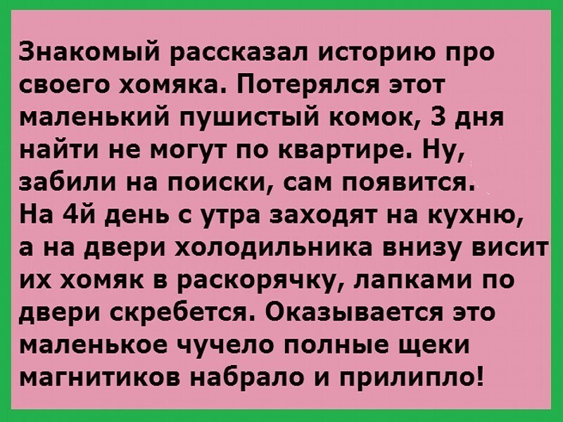 Вечерний калейдоскоп позитива, мысли, о животных и другие смысловые картинки