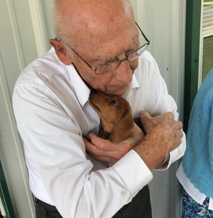 18. "Я отвела своего нового щенка в дом престарелых по соседству. Он мгновенно нашел себе там лучшего друга"