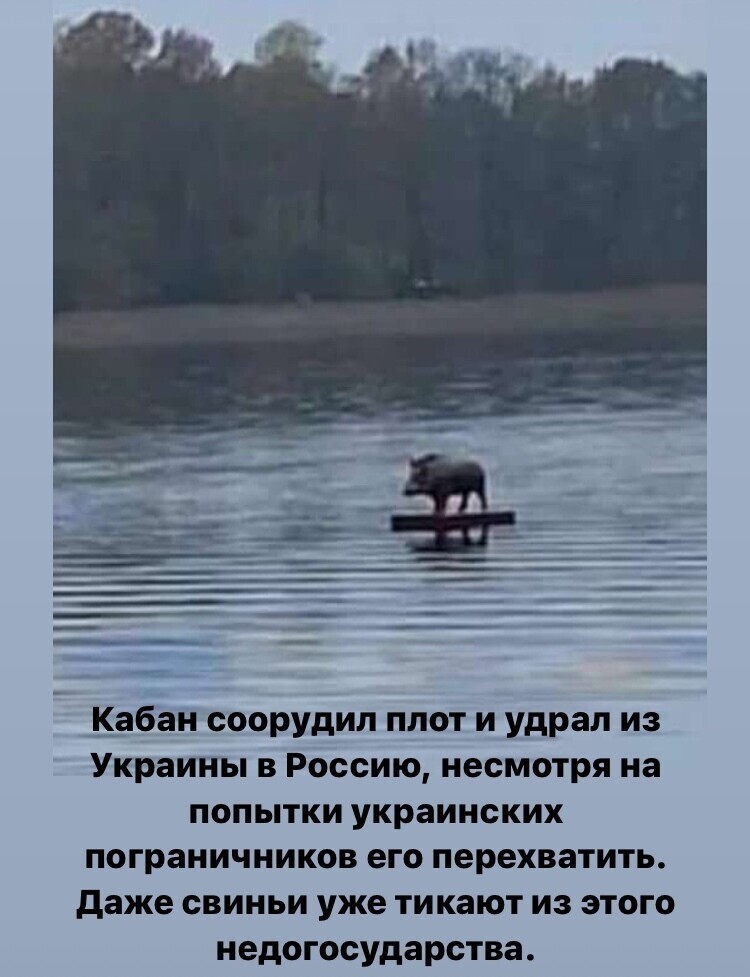 Политические комментарии и другой разный юмор с сарказмом и без