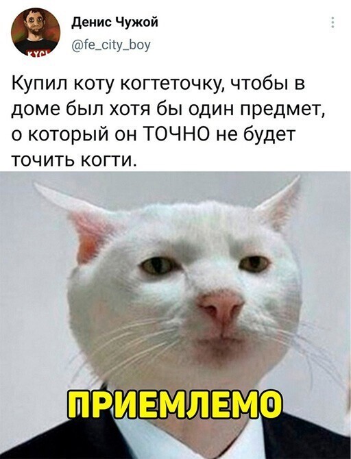 Смешные и познавательные картинки