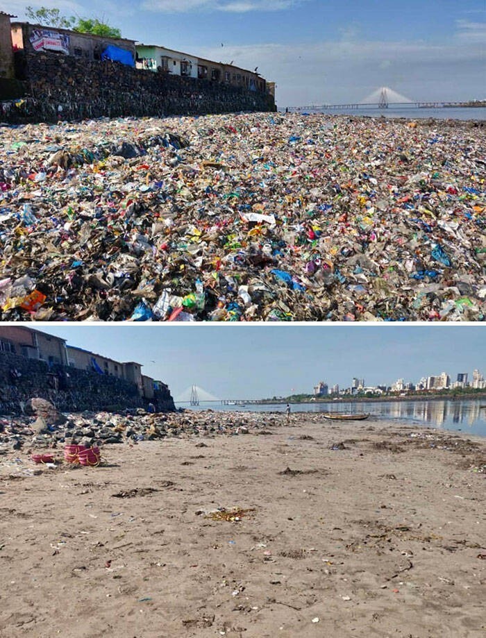 45. Пляж в Мумбаи до и после после уборки, организованной юристом Афрозом Шахом. Благодаря этому черепахи впервые за 20 лет смогли откладывать здесь яйца