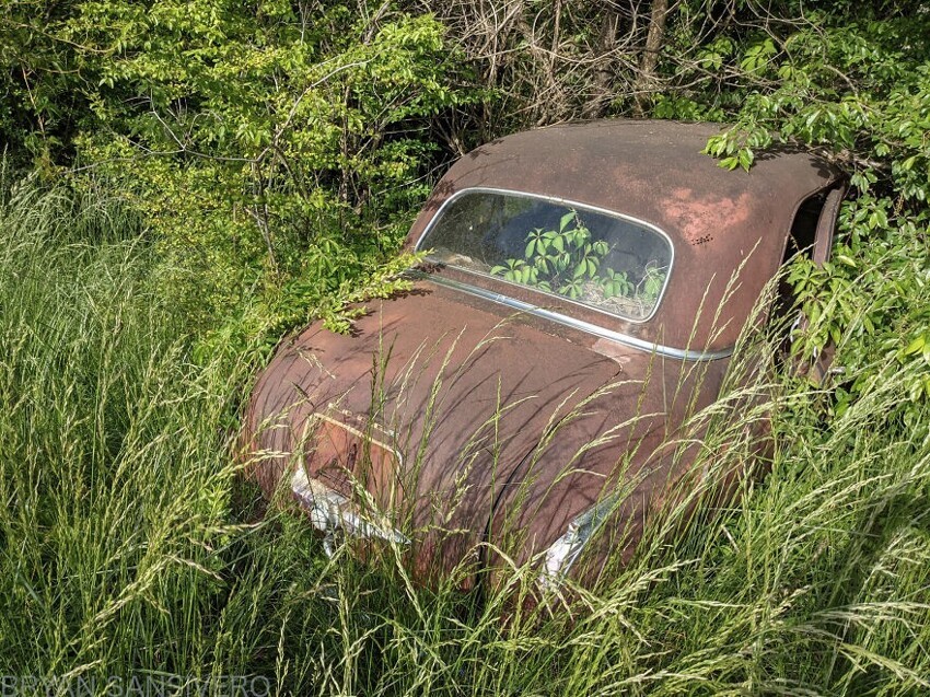 Старая машина в высокой траве