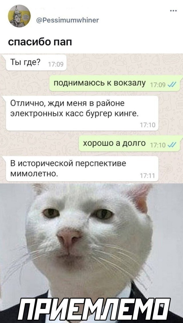 Скрины из соцсетей