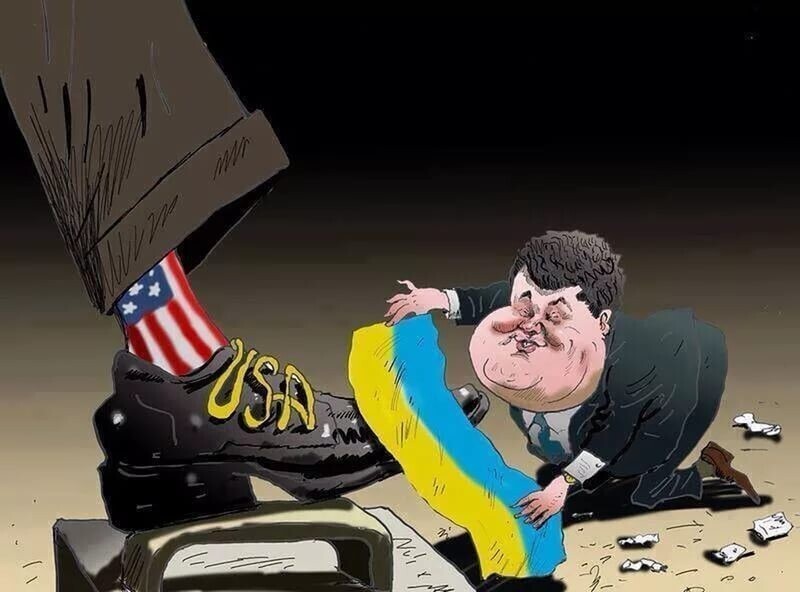 Украина одной ногой в НАТО, да другой не дают сделать шаг