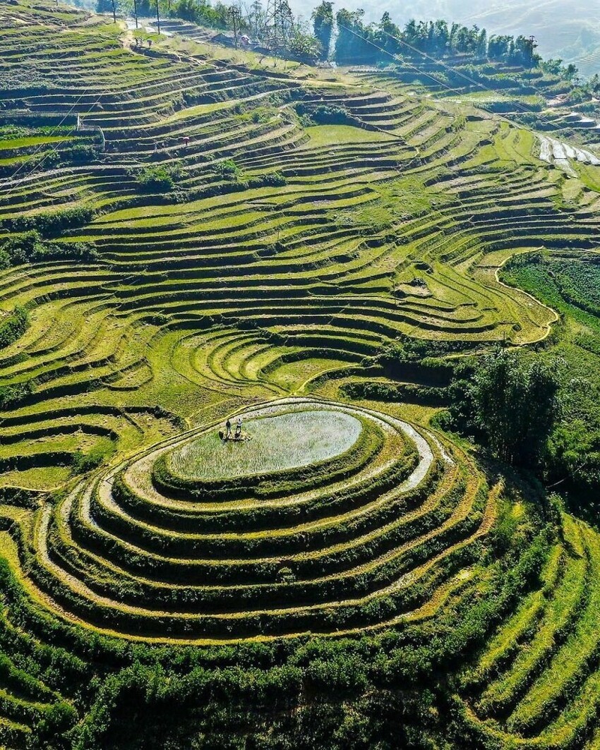 7. Рисовые поля в Сапе, Вьетнам