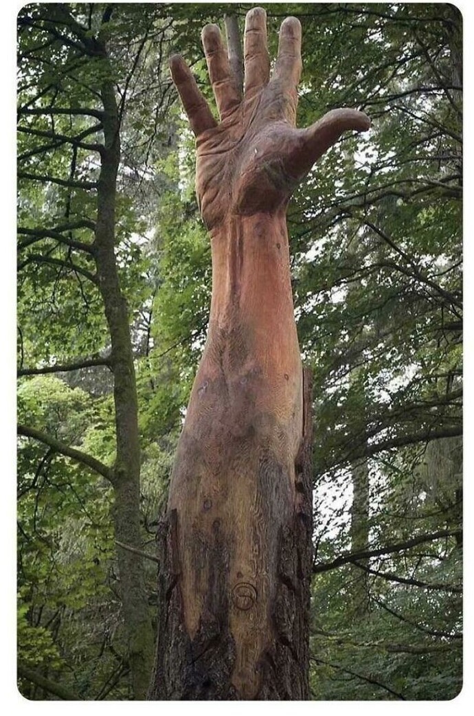 Когда молния разбила самое высокое дерево в Уэльсе, местный хуложник Саймон О'Руки сделал из него памятный знак. И он ПУГАЕТ