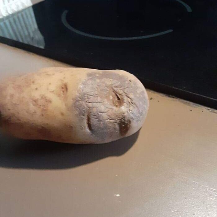 Эта картошка что-то знает