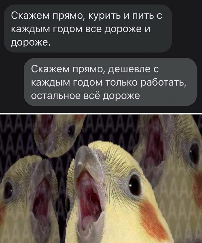 Скрины из соцсетей