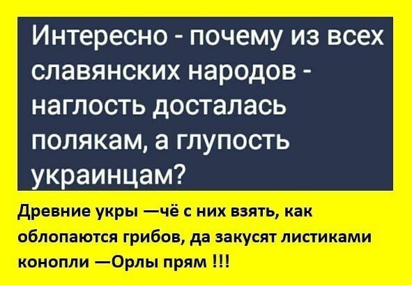 О политике и не только