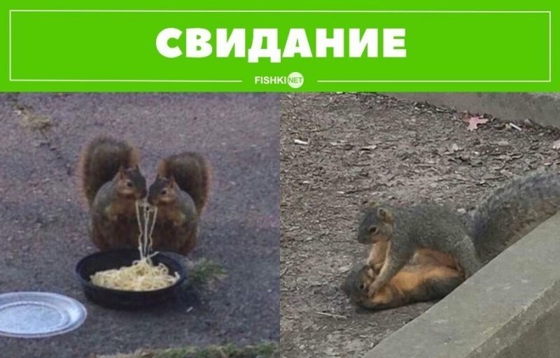 Смешные и познавательные картинки