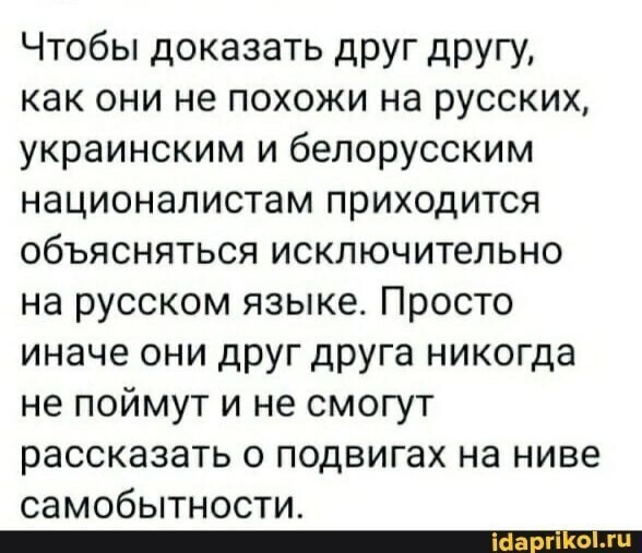 Калейдоскоп политической сатиры и другое