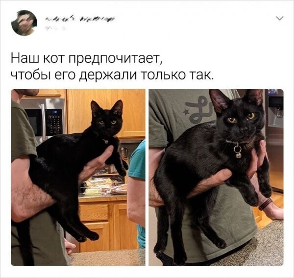 Скрины из соцсетей