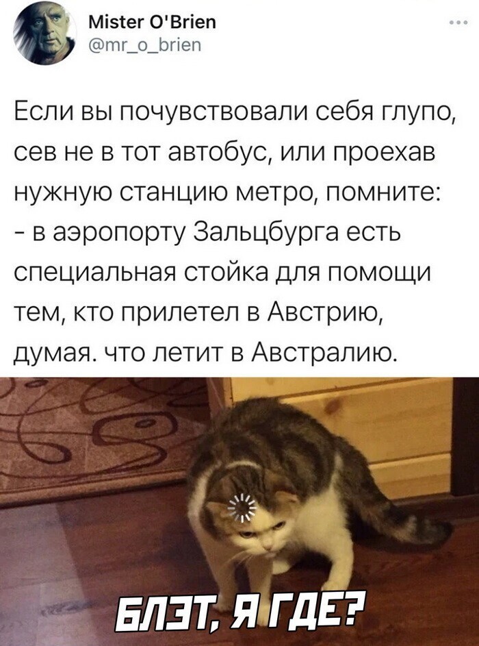 Скрины из соцсетей