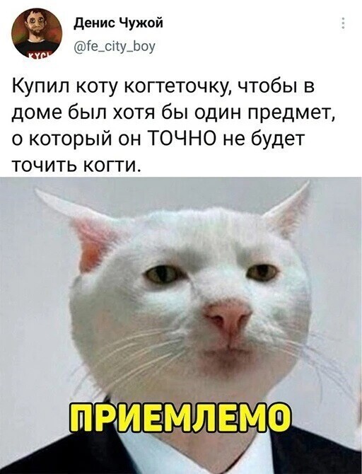 Скрины из соцсетей