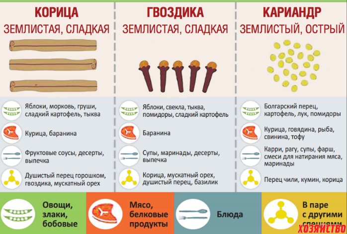 20 нужных шпаргалок о самом ароматном: гид по специям для кулинаров