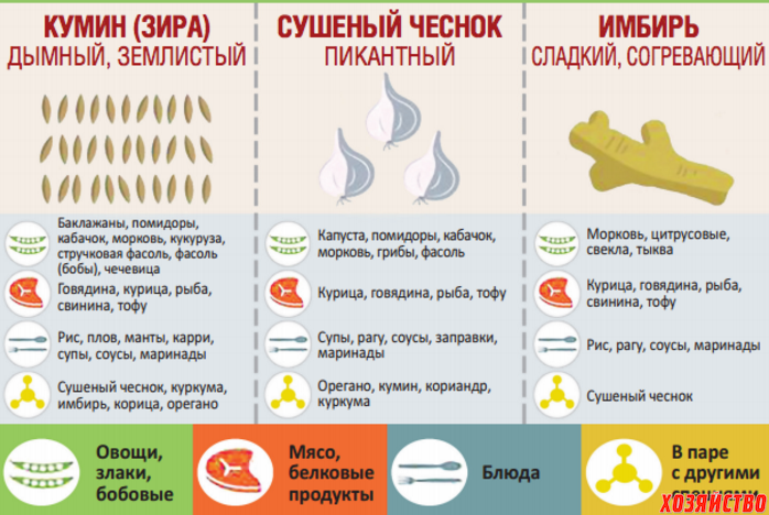 20 нужных шпаргалок о самом ароматном: гид по специям для кулинаров