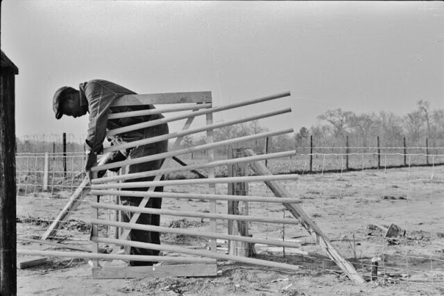 Заемщик FSA (администрации по защите фермерских хозяйств) строит новые ворота для своей фермы в Прейри Фармс, Монтгомери, Алабама, 1939 год