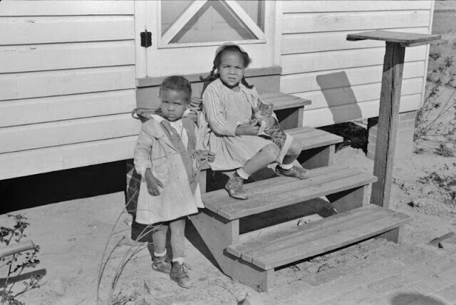 Дети на ступеньках дома миссис Браун, заемщицы FSA, в Прейри Фармс, Монтгомери, Алабама, 1939 год