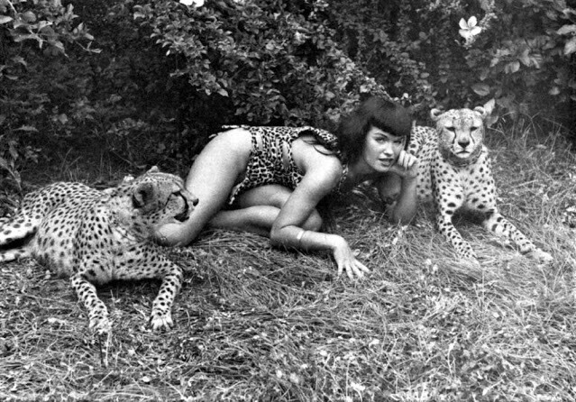 Бетти Пейдж: рождение леопарда