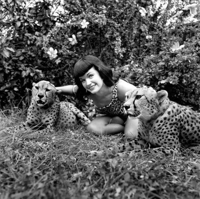 Бетти Пейдж: рождение леопарда
