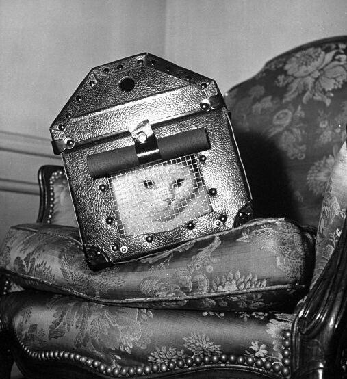 Контейнер из сверхпрочной стали для безопасной транспортировки кошек во время бомбёжек, Англия, 1941 год.
