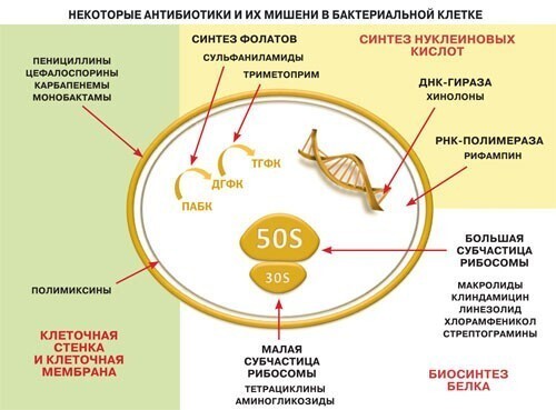 Российские ученые открыли новый класс антибиотиков