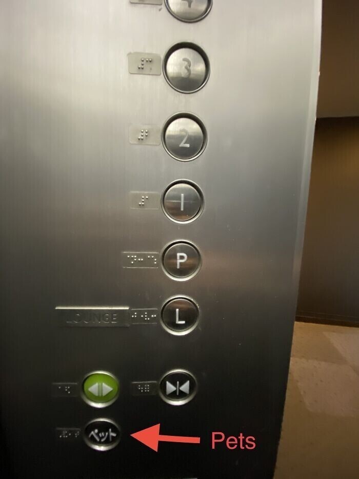 В лифте фешенебельногожилого комплекса в Японии есть отдельная кнопка для домашних животных