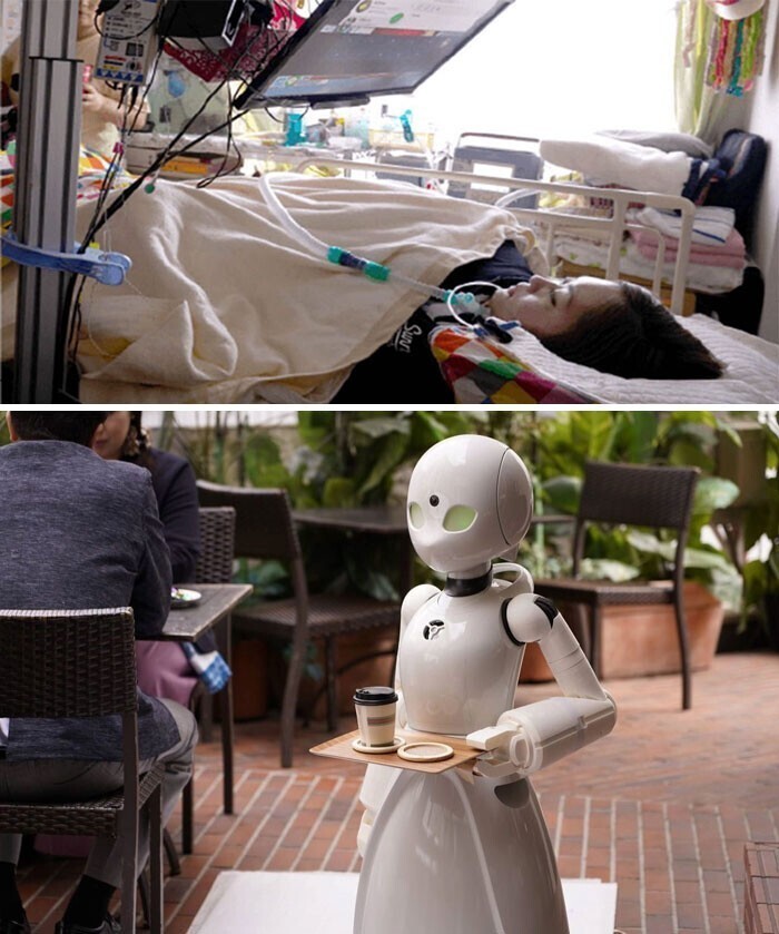 Кафе в Японии нанимает парализованных людей для управления роботами-официантами, чтобы инвалиды могли  получать доход