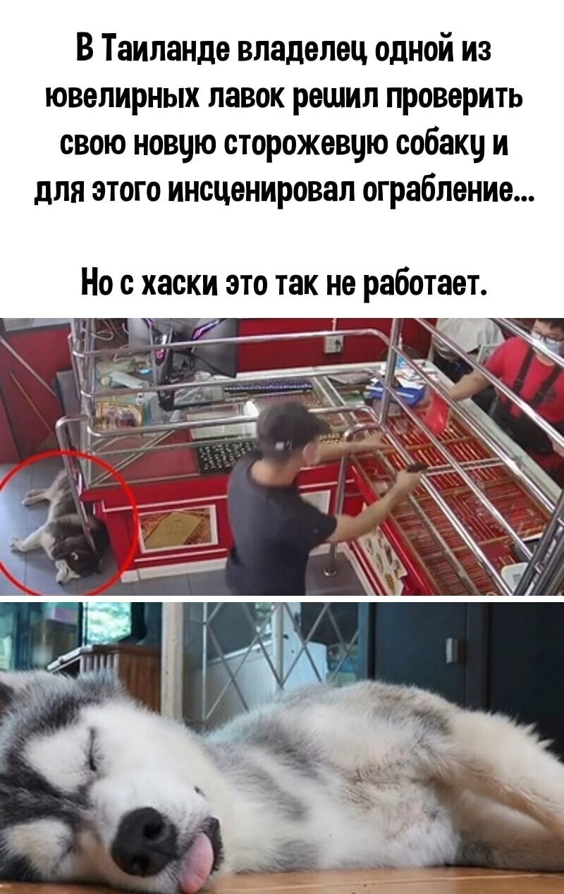 Калейдоскоп политической.новостной сатиры и другое